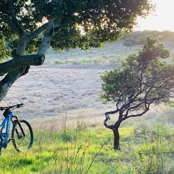 A bicycle resting on the open coastal trail at Fort Ord, Monterey, under soft California light